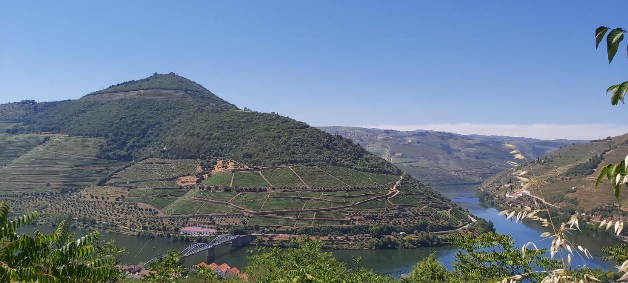 Vila Casa Do Jornaleiro - Douro - Quinta Da Cabrida Casal de Loivos Exteriér fotografie