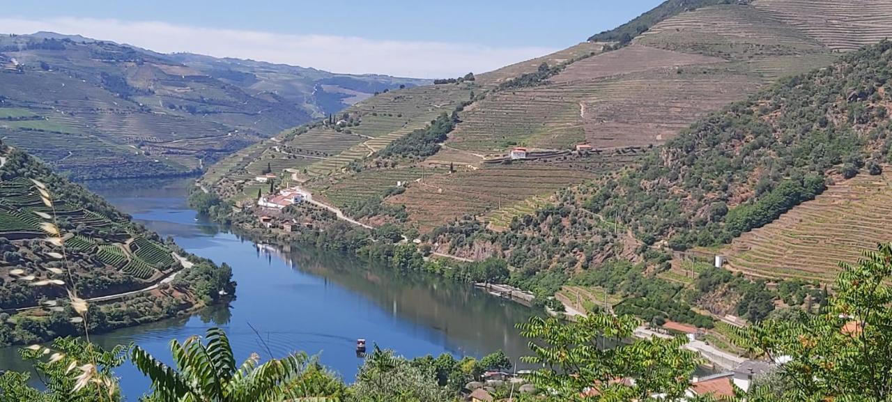 Vila Casa Do Jornaleiro - Douro - Quinta Da Cabrida Casal de Loivos Exteriér fotografie